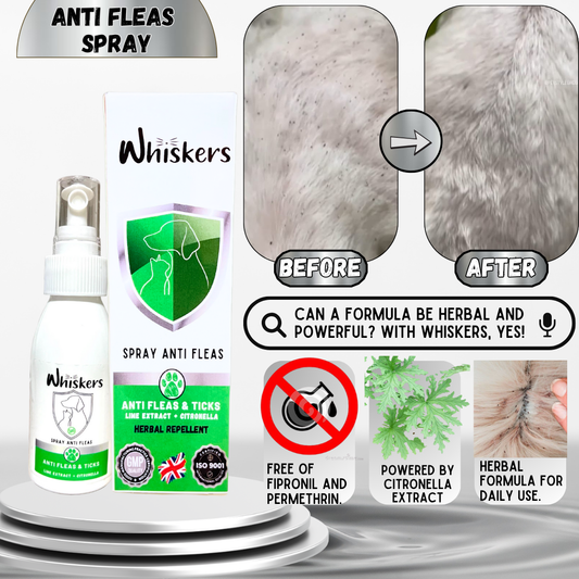 Whiskers Herbal Anti Fleas Spray - Whiskers