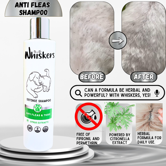 Whiskers Anti Fleas & Ticks Shampoo - Whiskers