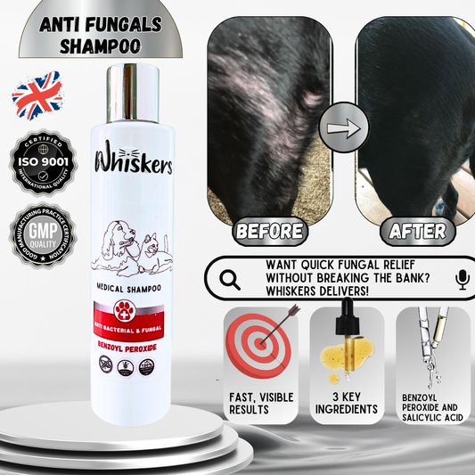 Whiskers Anti-Fungals Shampoo - Whiskers