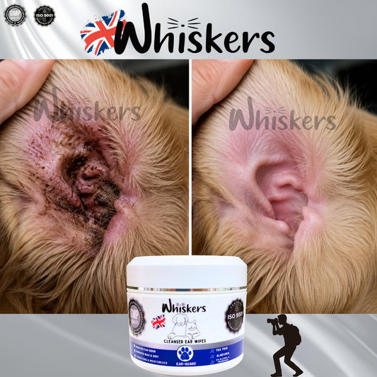 Whiskers Ear Cleanser Wipes for Dogs & Cats