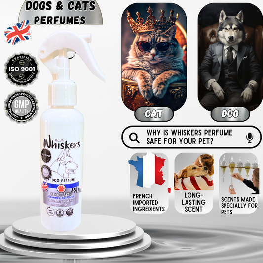 Whiskers King size Perfume / Paris Scent