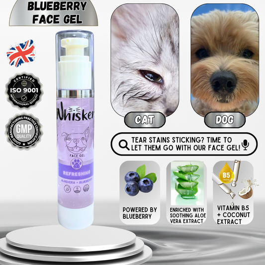 Whiskers Face Gel Blueberry - Whiskers