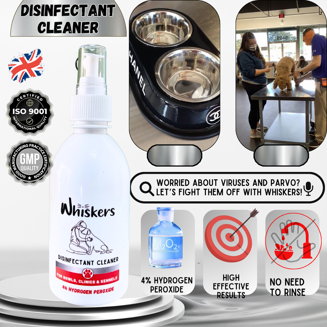 Whiskers Disinfctant - Whiskers