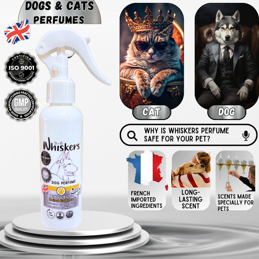 Whiskers King size Perfume / Beirut Scent