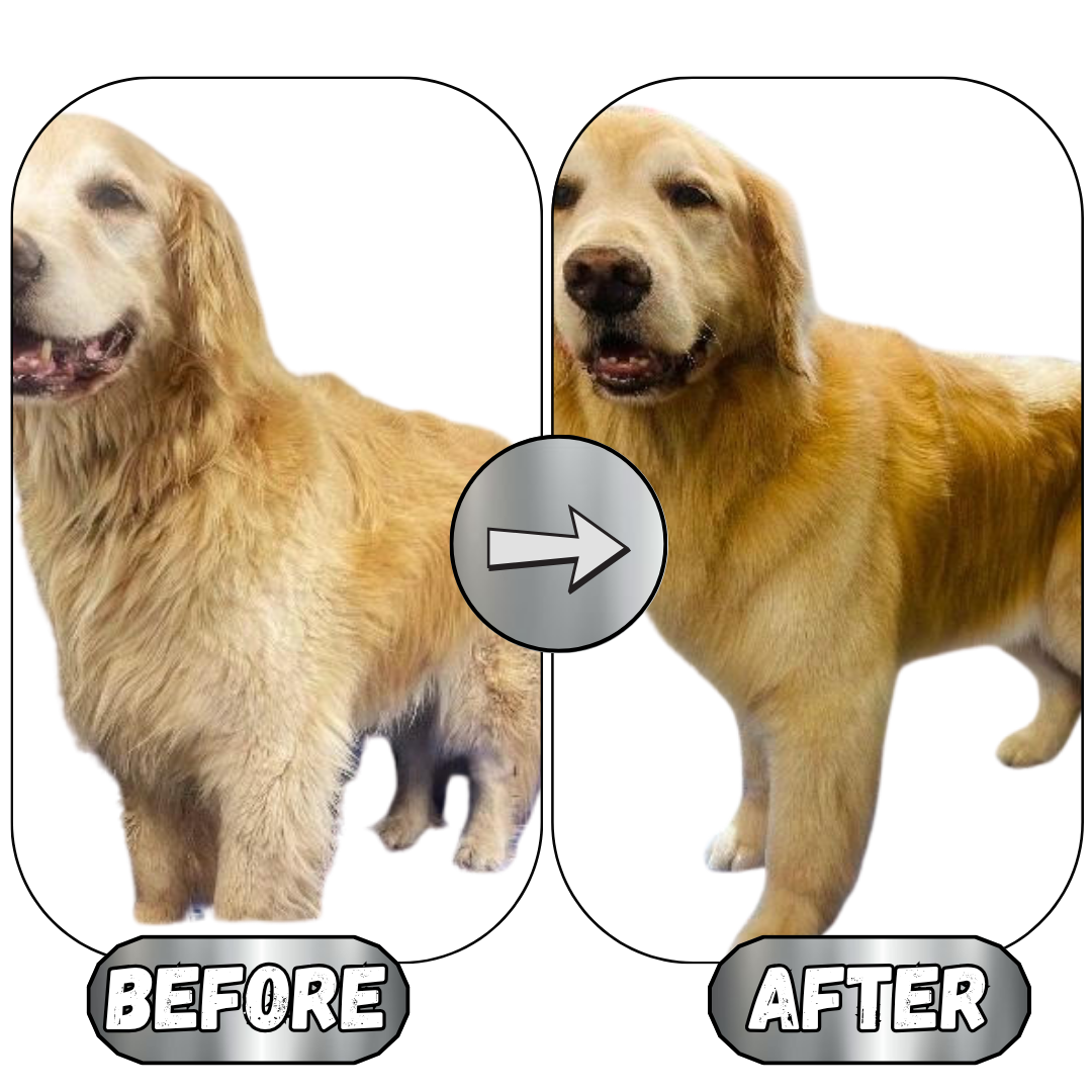 Whiskers Dog Shampoo/ Peach Yogurt + Oats