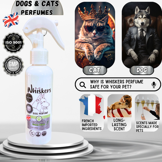 Whiskers King size Perfume / Green Olives