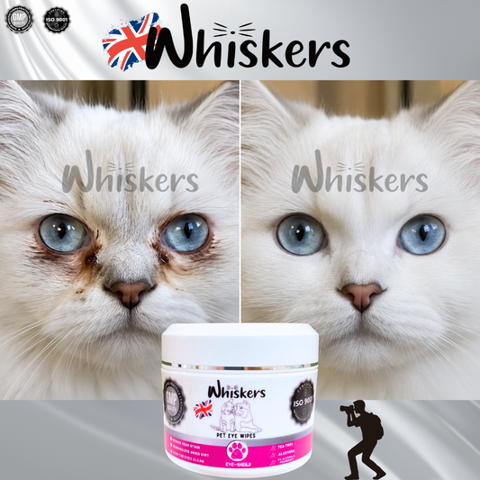 Whiskers Eye Wipes – Tear Stain Care for Dogs & Cats
