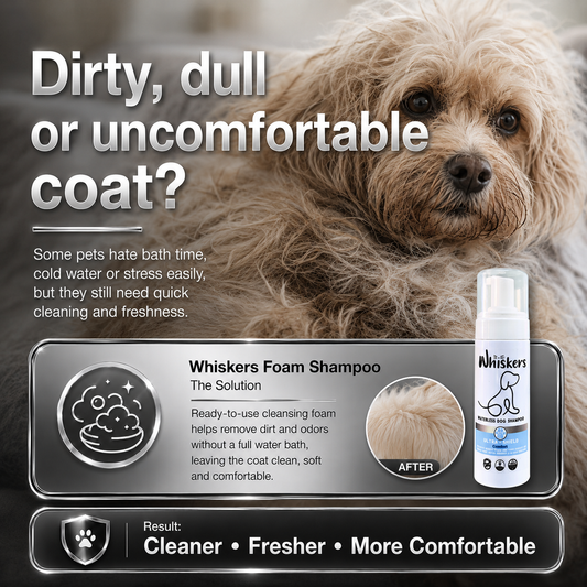 Whiskers Foam Shampoo – Comfort for Dogs & Cats – product image 2