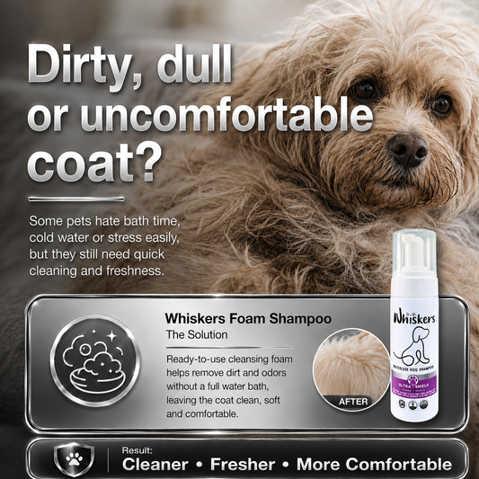 Whiskers Foam Shampoo – Honey & Orchid for Dogs & Cats – product image 2