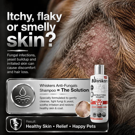 Whiskers Pet Shampoo – Fungal Care Formula for Dogs & Cats 450 ML