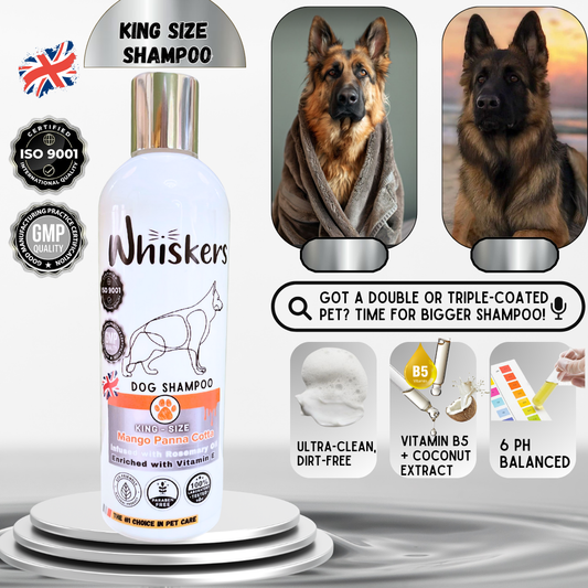 Whiskers King Size Dog Shampoo/ Mango Panna Cota