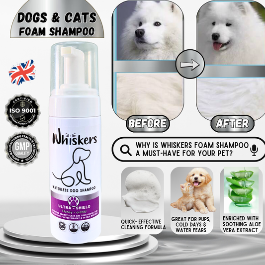 Whiskers Dog Foam Shampoo/ Honey + Orchid