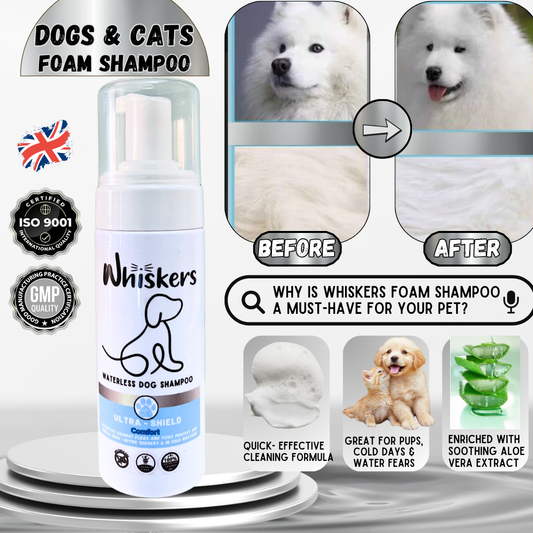 Whiskers Dog Foam Shampoo/ Comfort