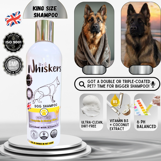 Whiskers King Size Dog Shampoo/ Pumpkin & Honey Blend