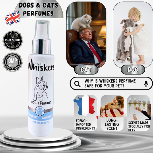Whiskers Dog Perfume/ Ocean Breeze
