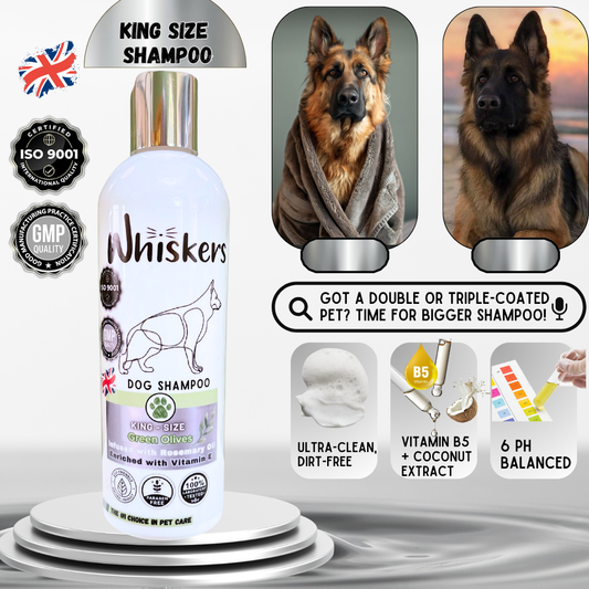 Whiskers King Size Dog Shampoo/ Green Olives