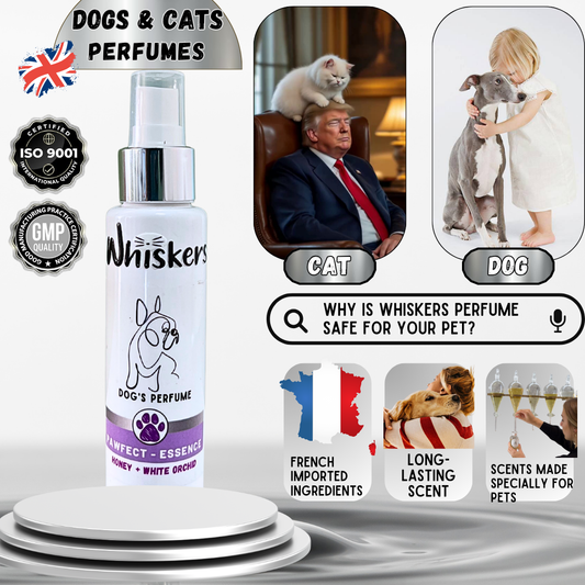 Whiskers Dog Perfume/ Fig + White Orchid
