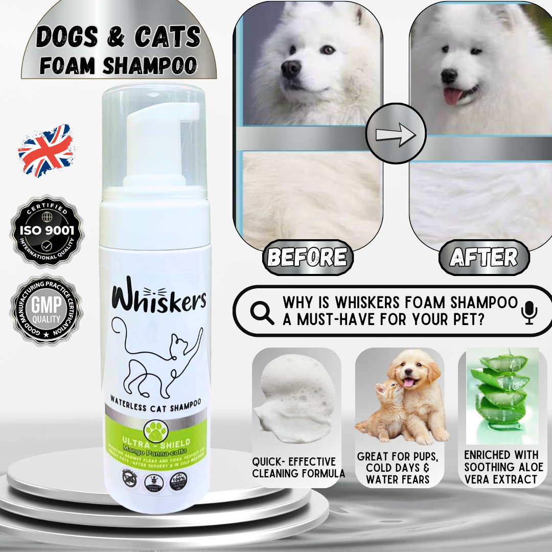 Whiskers Cat Foam Shampoo/ Mango Panna Cota