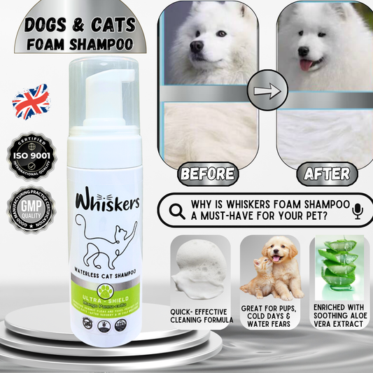 Whiskers Cat Foam Shampoo/ Mango Panna Cota