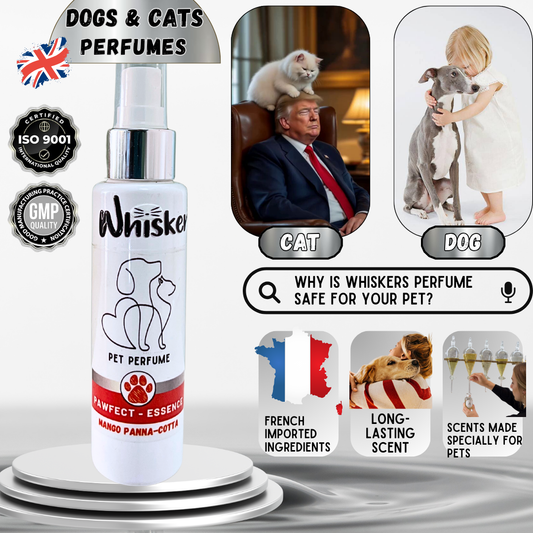Whiskers Pet Perfume/ Mango Panna Cota