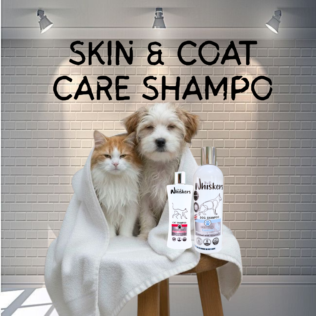 Skin & Coat Care Shampoo Collection for Dogs & Cats