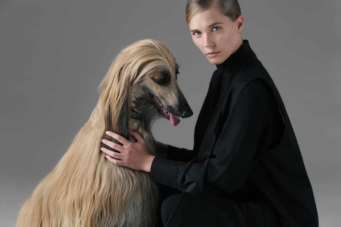Whiskers Coat & Skin Treatment
