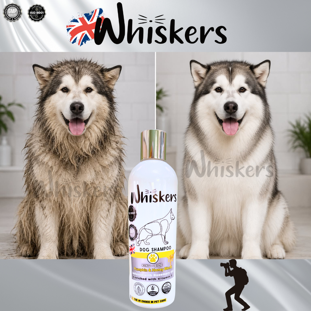 Whiskers King Size Dog Shampoo - Pumpkin & Honey Blend