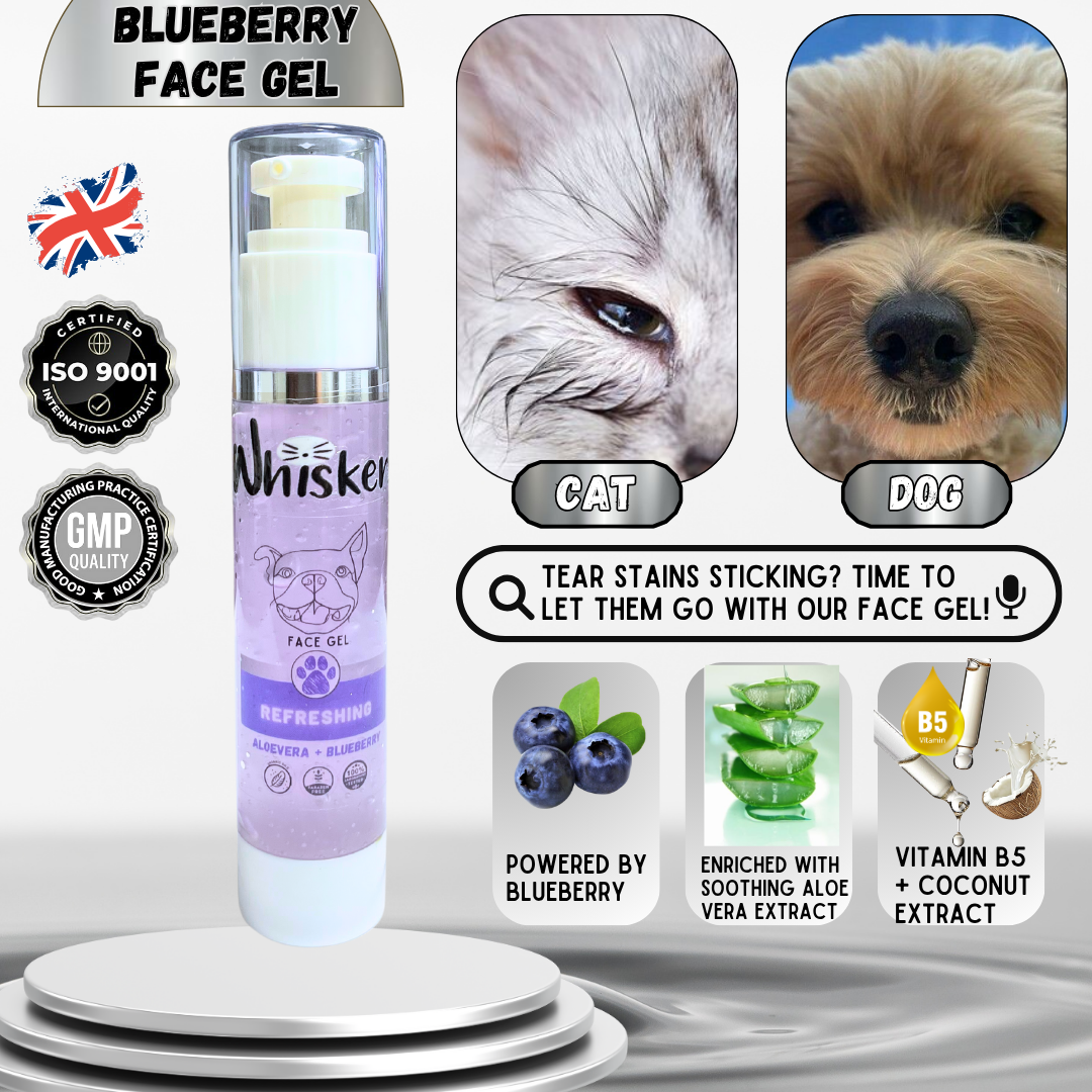 Whiskers Face Gel Blueberry - Whiskers 