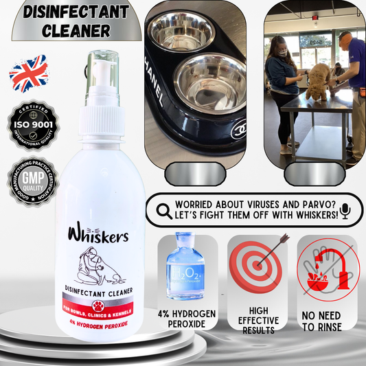 Whiskers Disinfctant - Whiskers 