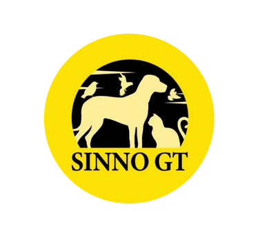Sinno GT