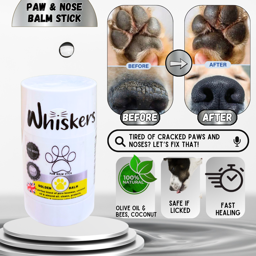 Whiskers Paw Balm Honey - Whiskers 