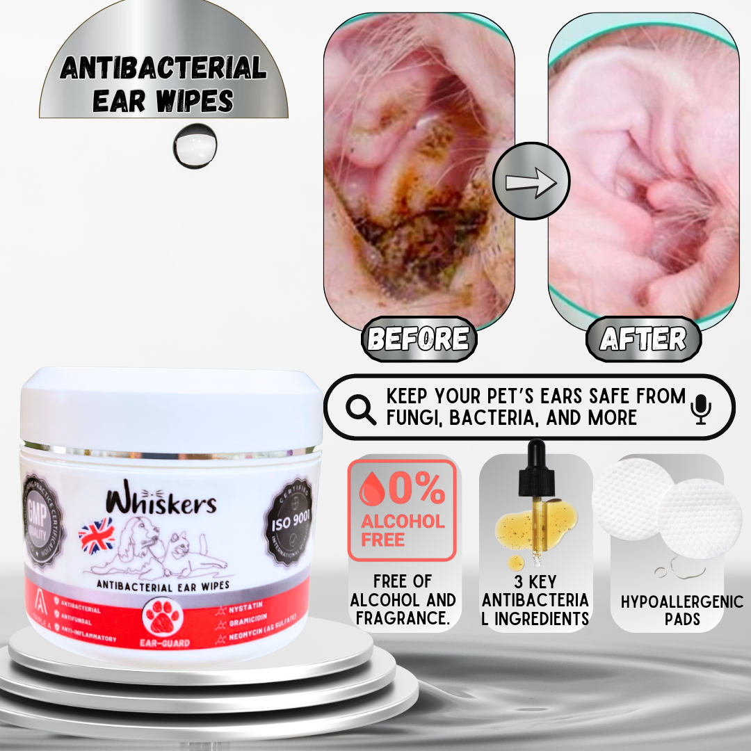 Whiskers Anti-Bacterial/ Ear Wipes - Whiskers 