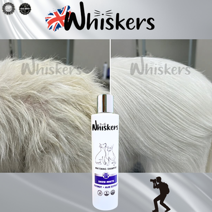 Whiskers Whitening Shampoo For Dogs & Cats