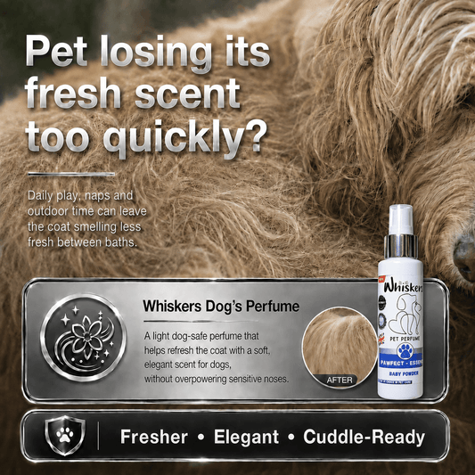 Whiskers Pet Perfume –Baby Powder for Dogs & Cats