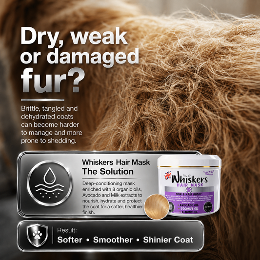 Whiskers Pet Hair Mask – Avocado & Milk for Dogs & Cats – product image 2