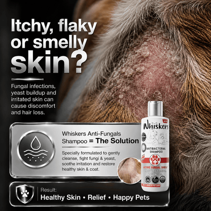 Whiskers Pet Shampoo – Fungal Care Formula for Dogs & Cats 450 ML