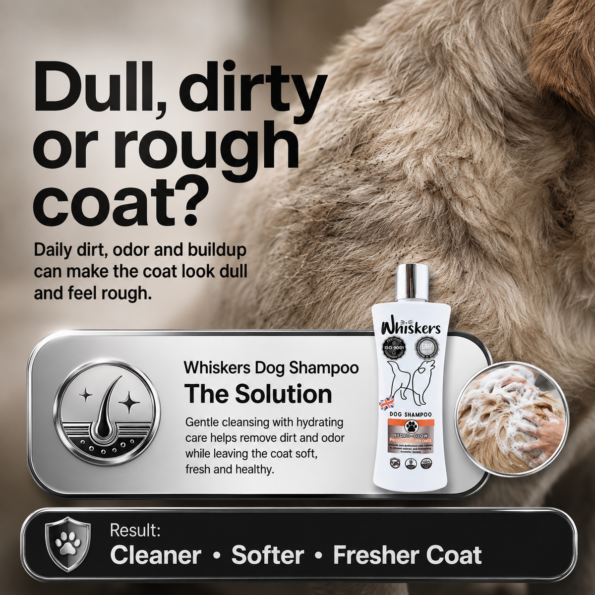 Whiskers Pet Shampoo – Cotton Candy for Dogs & Cats