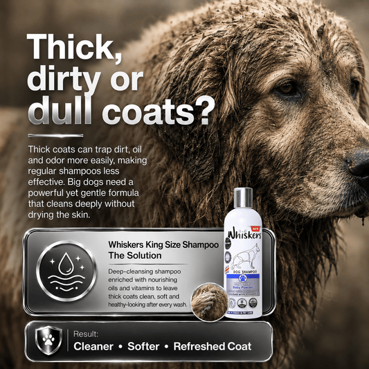 Whiskers King Size Pet Shampoo – Baby Powder  for Dogs & Cats