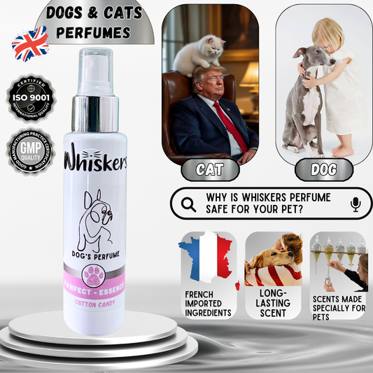 Whiskers Dog Perfume/ Cotton Candy