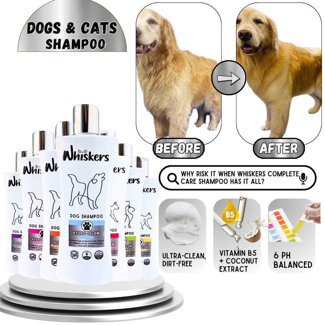 Whiskers Dog Shampoo/ Peach Yogurt + Oats